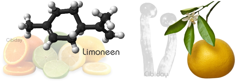 Limoneen Terpeen